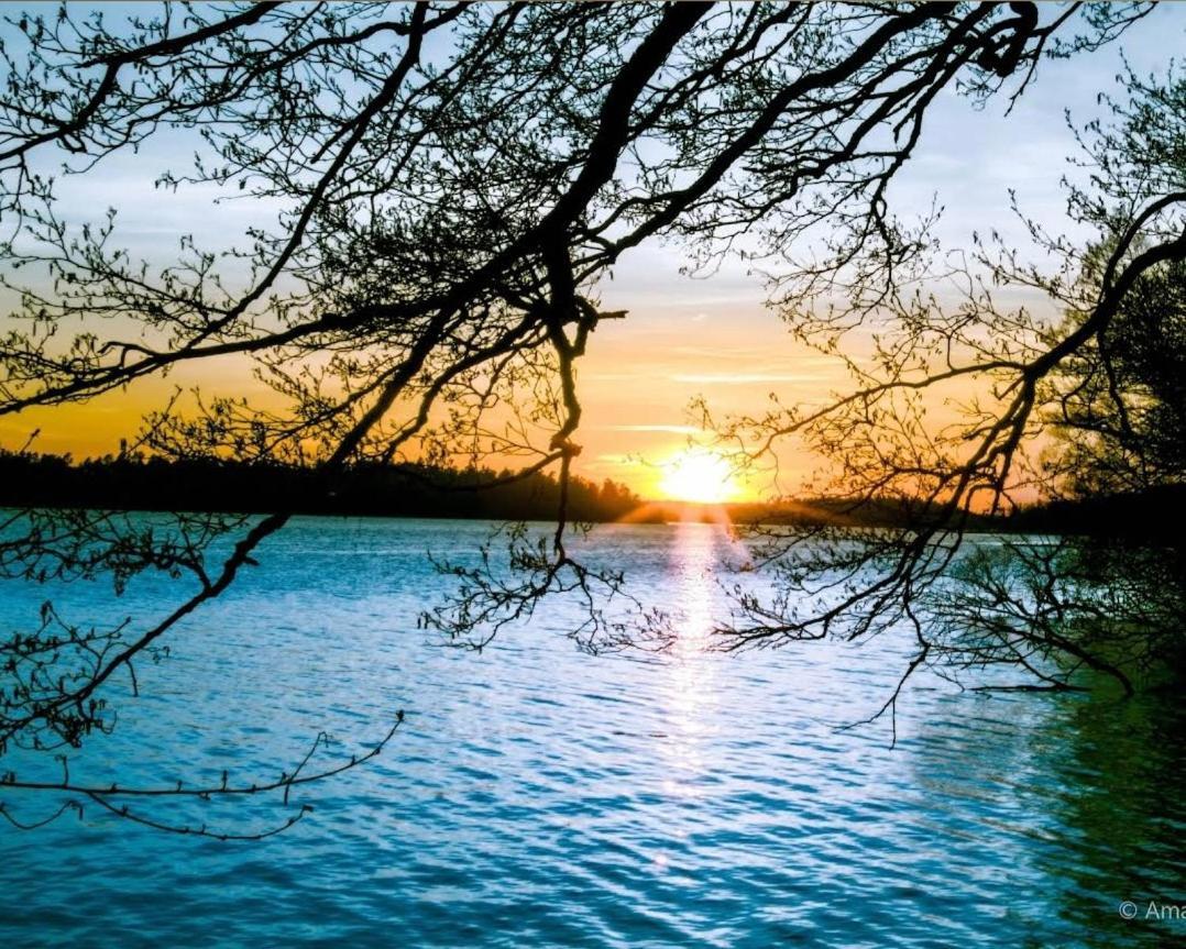 Close To The Metro And The Beach!!! With A View Of The Scandinavian Forest Lejlighed *