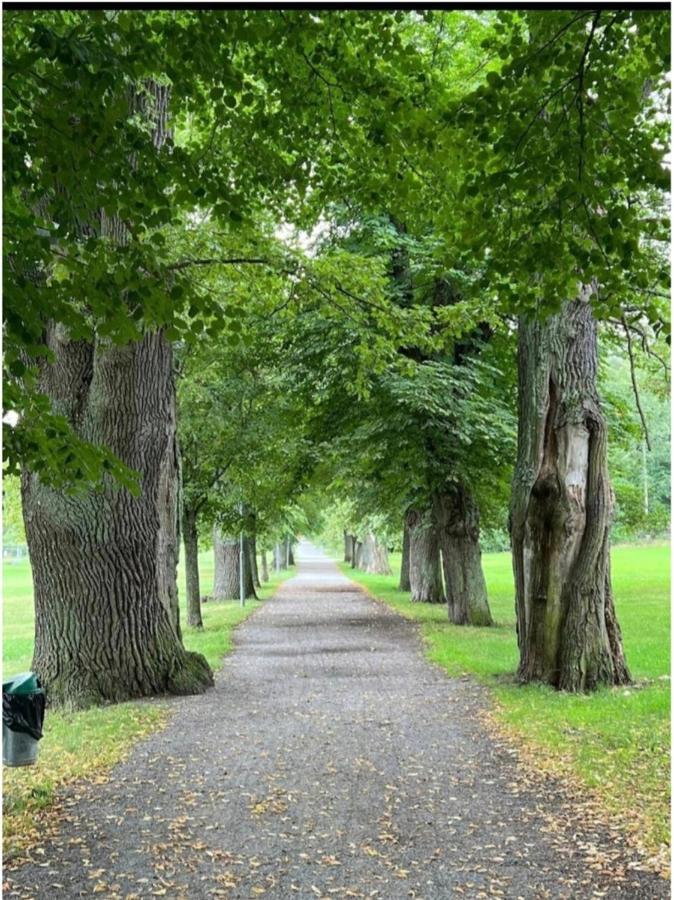 Lejlighed Close To The Metro And The Beach!!! With A View Of The Scandinavian Forest