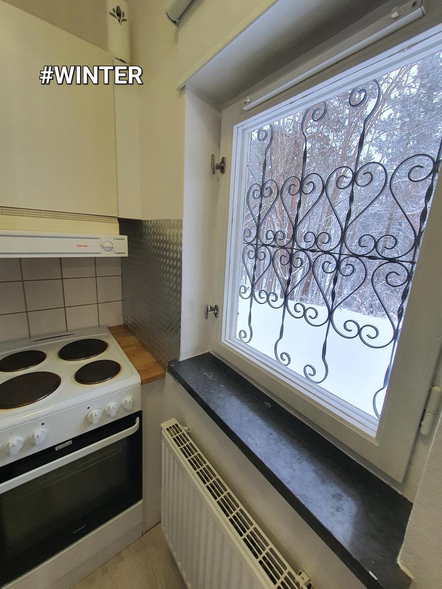 Close To The Metro And The Beach!!! With A View Of The Scandinavian Forest Lejlighed